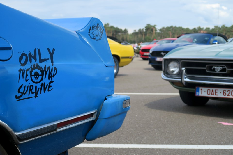 Illustration for article titled Belgium Takes The Ford Mustang World Record